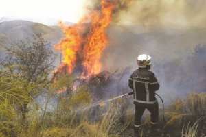 Algérie - FEUX DE FORÊT À JIJEL: Plusieurs foyers d’incendie enregistrés