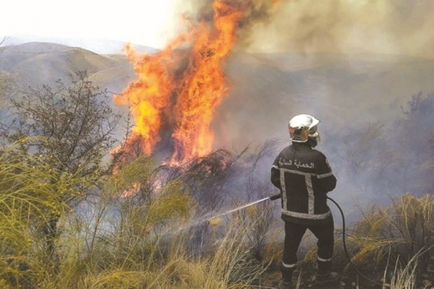 Algérie - FEUX DE FORÊT À JIJEL: Plusieurs foyers d’incendie enregistrés