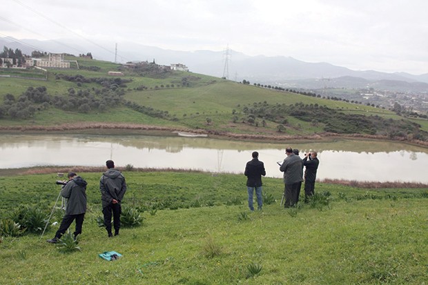 OISEAUX AQUATIQUES À JIJEL: Baisse du nombre des individus observés
