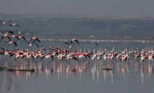 Des mesures pour protéger le lac Télamine