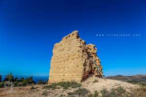 HONAINE : BIENTOT UN MUSEE POUR LA VILLE ANTIQUE