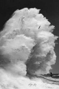 Tempête Justine - 30 Janvier 2021