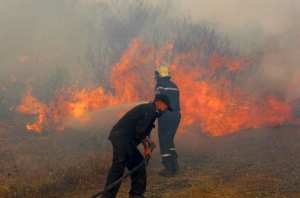 Béjaïa - 31 FOYERS D’INCENDIE EN 48 HEURES: Plus de 80 ha ravagés par le feu