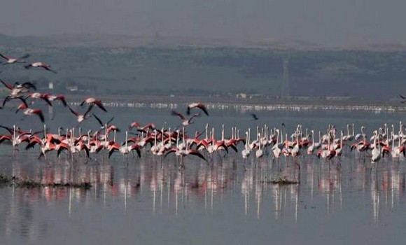 Des mesures pour protéger le lac Télamine