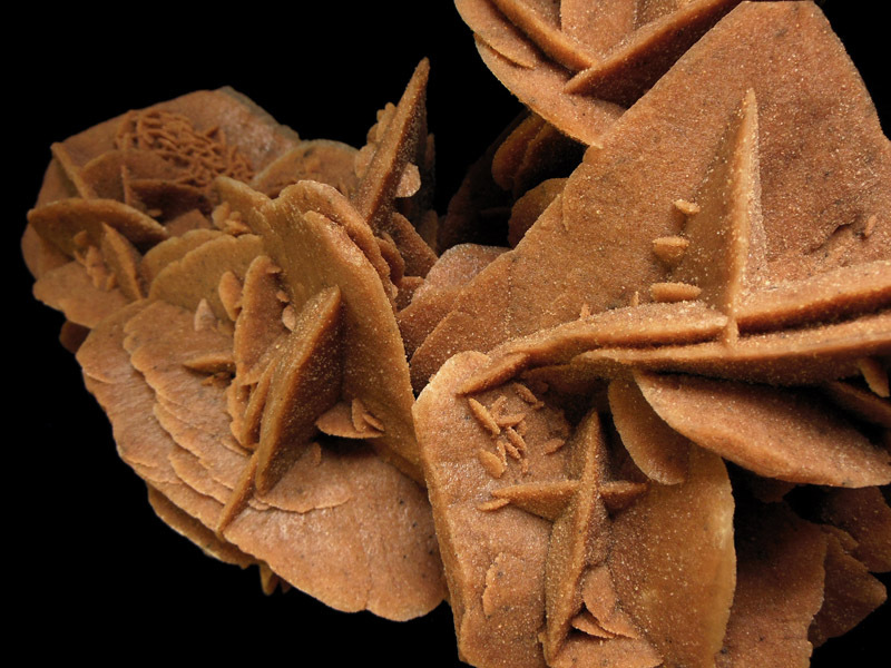 Ouargla: la rose des sables, une richesse naturelle à valoriser