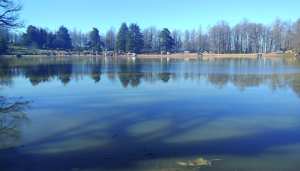 Béjaïa - Les zones humides malmenées