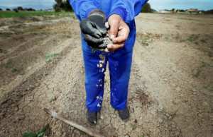 Bouira - Face à la sécheresse, les céréaliculteurs réclament leurs quotas d’eau d’irrigation