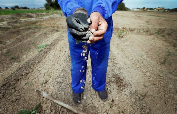 Bouira - Face à la sécheresse, les céréaliculteurs réclament leurs quotas d’eau d’irrigation
