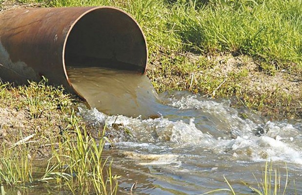 Cheurfa (Annaba) - Catastrophe environnementale 