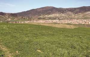 Talassa (Chlef) - AGRESSIONS SUR LE PATRIMOINE FORESTIER : L’association “Espoir et promotion sociale” tire la sonnette d’alarme