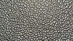 Planète (Amérique du Sud) - Le lac asséché de Suesca, témoin du changement climatique en Colombie