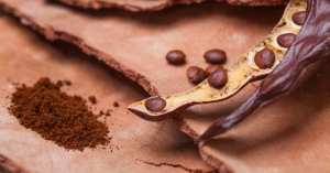 Découvrez la poudre de caroube.