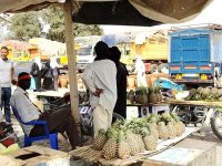 Le commerce de troc, ou l'ouverture de nouveaux horizons dans le sud algérien