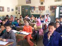 L'apport des travaux d'évaluation au développement du système éducatif