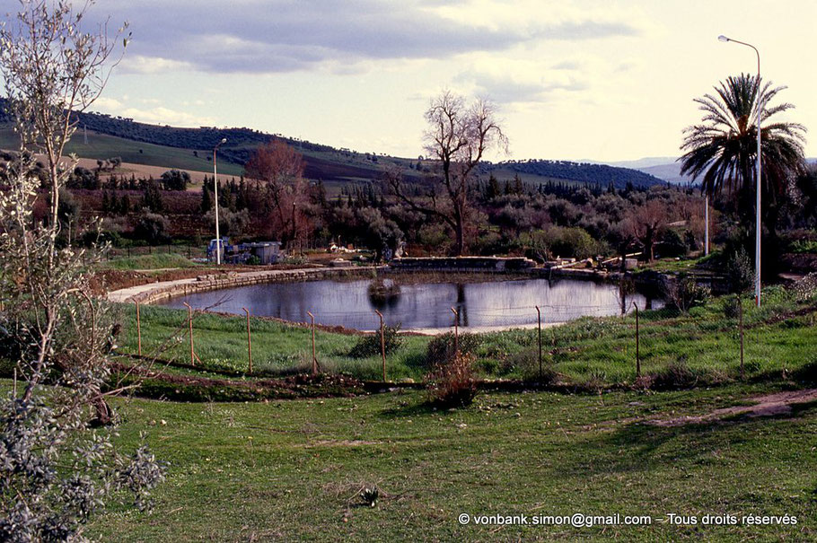 Piscine romaine (Hammam Berda)
