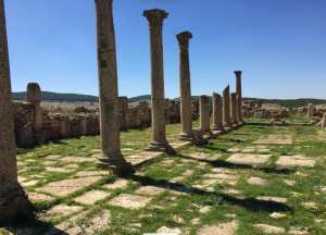 Souk Ahras- Madaure – M’daourouch