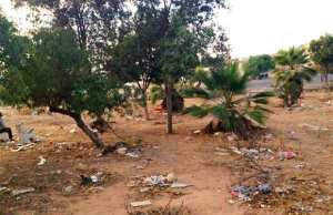 Guelma - Dégradation des jardins publics  Espaces verts abandonnés à leur triste sort