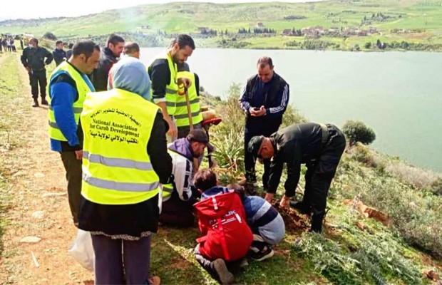 Annouche Ali (Grarem Gouga/Mila) - Plantation de milliers de caroubiers sur les rives du barrage de Beni-Haroun