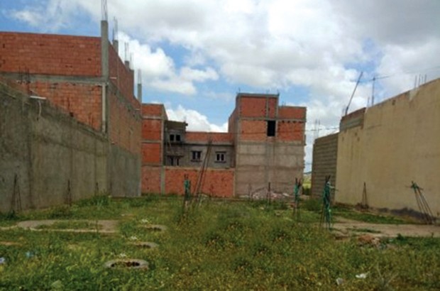 Algérie - RECENSEMENT GÉNÉRAL AGRICOLE À AÏN TÉMOUCHENT: Plus de 1,2 million d’exploitations concernées