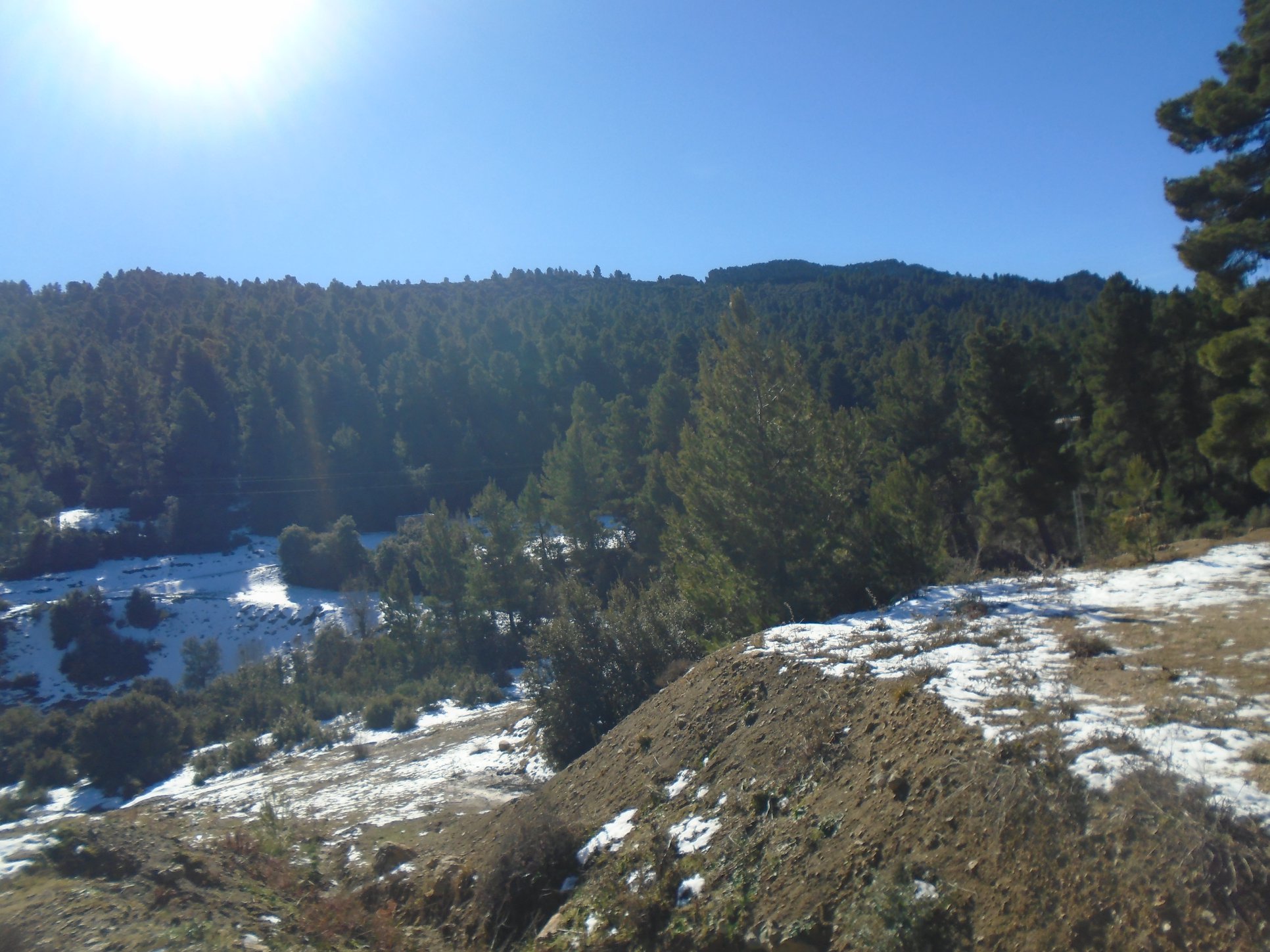 شليا بلدية يابوس في اواخر فصل الشتاء