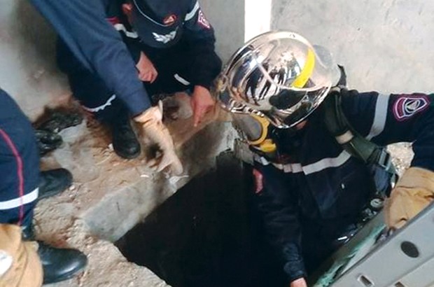 Oued Ghir (Béjaïa) - ALORS QUE LE DRAME DE LA PRISON N’A PAS ENCORE LIVRÉ TOUS SES SECRETS: RETOUR SUR UNE HORRIBLE TRAGÉDIE