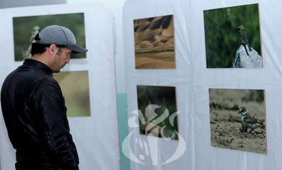 Batna: le photographe Abderraouf Mezouri met en exergue la faune des Aurès
