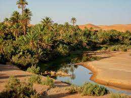 Algérie - L'ONAT organise des séjours au Sud à 15.000 dinars: L'expérience d'un voyage exceptionnel