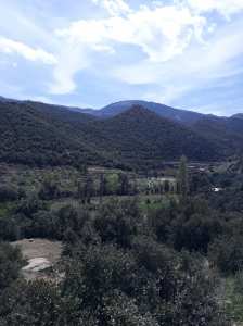 الكانطينة في فصل الربيع انها عروس جبل شليا.