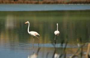 Algérie - Afin de booster le tourisme local: 120 représentants d’agences de voyages à El-Tarf