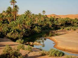 Algérie - L'ONAT organise des séjours au Sud à 15.000 dinars: L'expérience d'un voyage exceptionnel