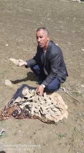 العثورعلى قبر للشهيدين يعود الى 1958 .