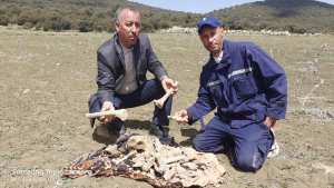 العثورعلى قبر للشهيدين يعود الى 1958 .