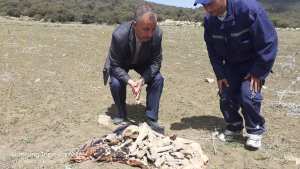 العثورعلى قبر جماعي يعود تاريخه الى 1958 .بالوضحة بلدية يابوس