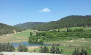 الطبيعة في فصل الربيع بيابوس.