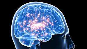 Prévalence de l'épilepsie du sujet âgé : expérience du CHU Tlemcen (Ouest Algérien)