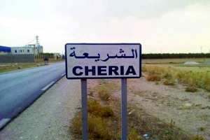 Tébessa - Mechtas de la commune de Cheria: Les populations crient leur désarroi