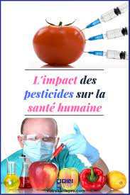 Algérie - Contribution: De l’usage intensif des pesticides, et leurs conséquences néfastes (Suite et fin)