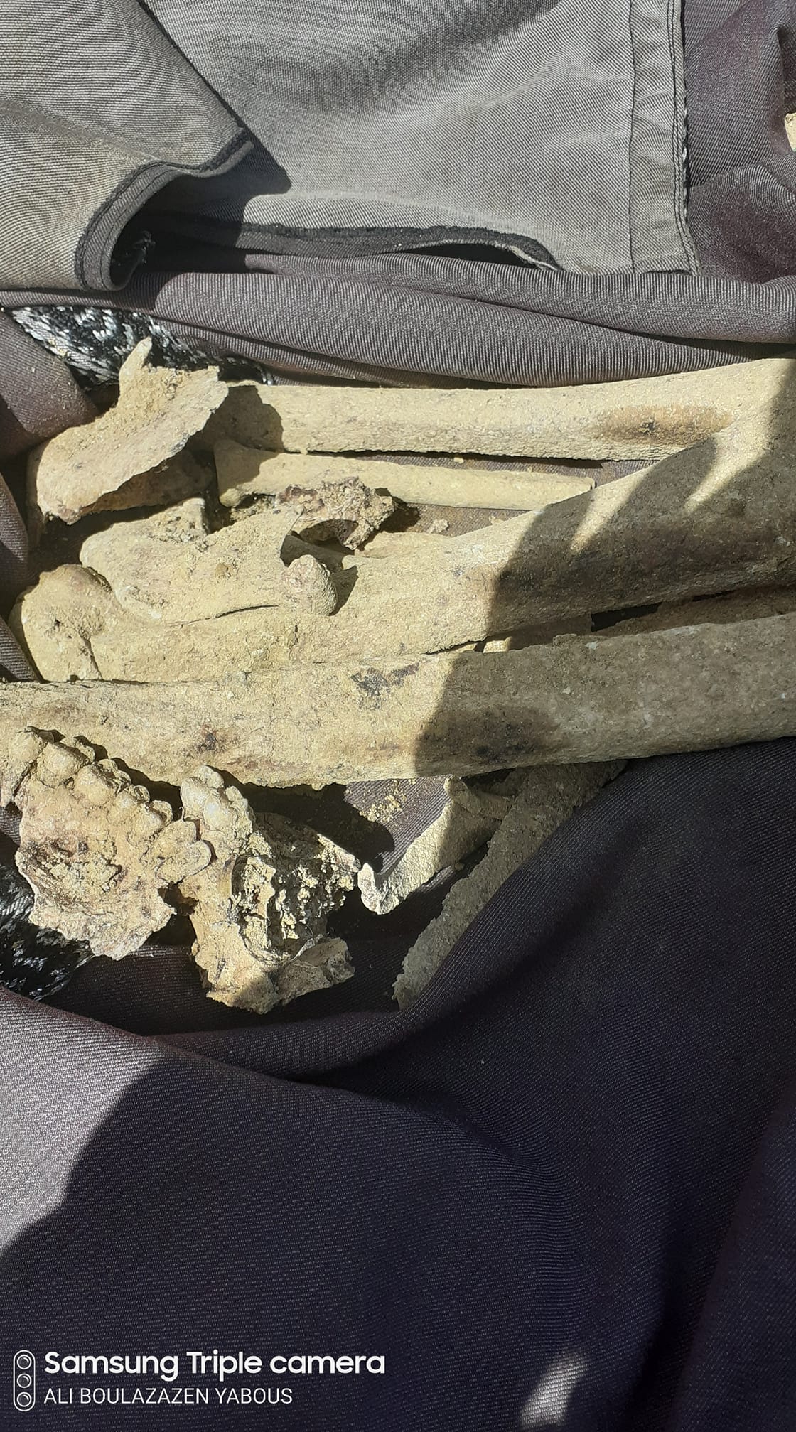 العثورعلى قبر للشهيدين يعود الى 1958 .