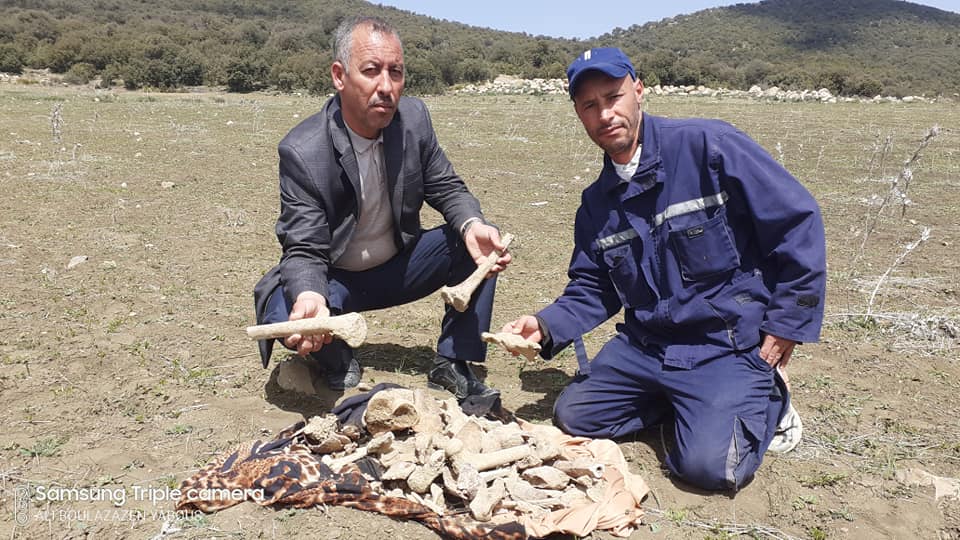 العثورعلى قبر للشهيدين يعود الى 1958 .