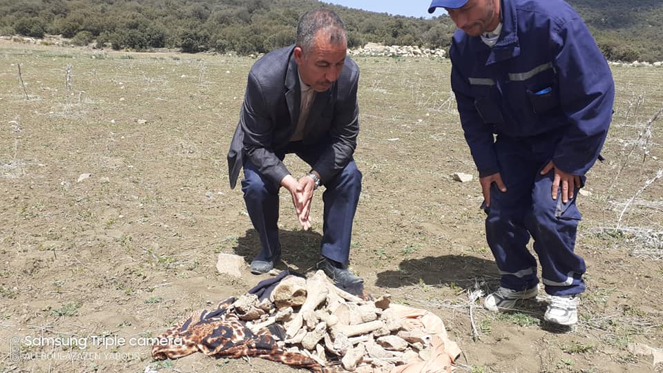 العثورعلى قبر جماعي يعود تاريخه الى 1958 .بالوضحة بلدية يابوس