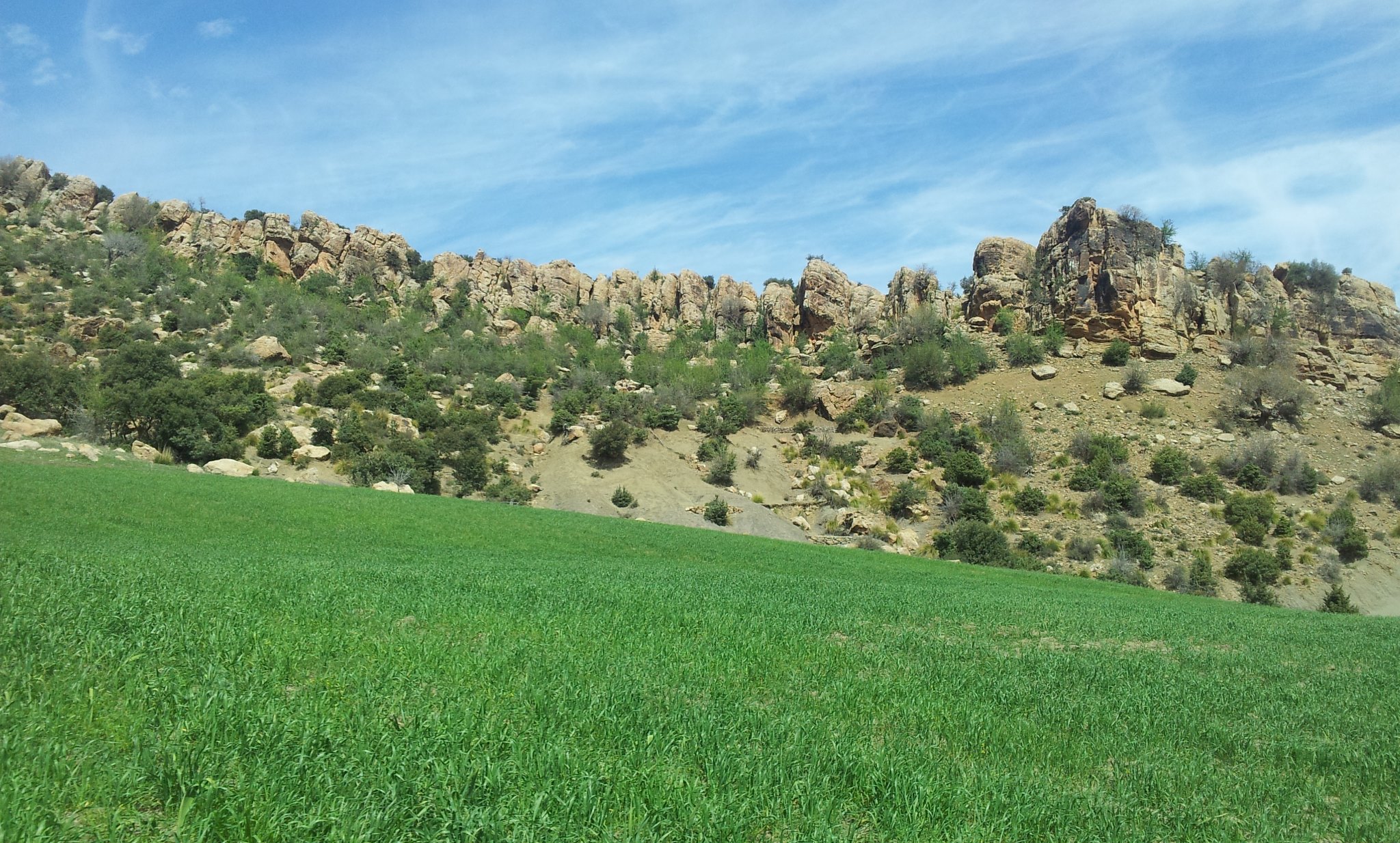 الطبيعة في فصل الربيع بيابوس.