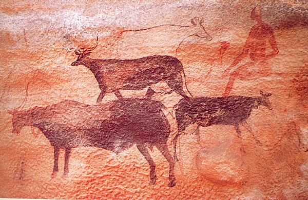 Le Tassili n'Ajjer, mémoire du Sahara