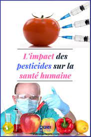 Algérie - Contribution: De l’usage intensif des pesticides, et leurs conséquences néfastes (Suite et fin)