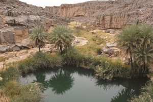 In Salah (Tamanrasset) - LE DOSSIER AURAIT ÉTÉ DÉPOSÉ AUPRÈS DE LA DIRECTION DES FORÊTS DE TAMANRASSET: Le lac de Tiguelguemine en quête de classification