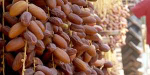 Les dattes Algériennes (Deglet Nour) vendues aux Nations Unies