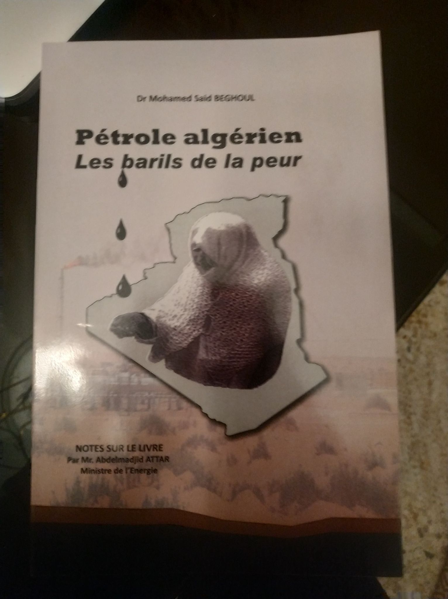 Saïd Begoul édite un livre sur l’avenir de la rente Pétrole algérien : les barils de la peur
