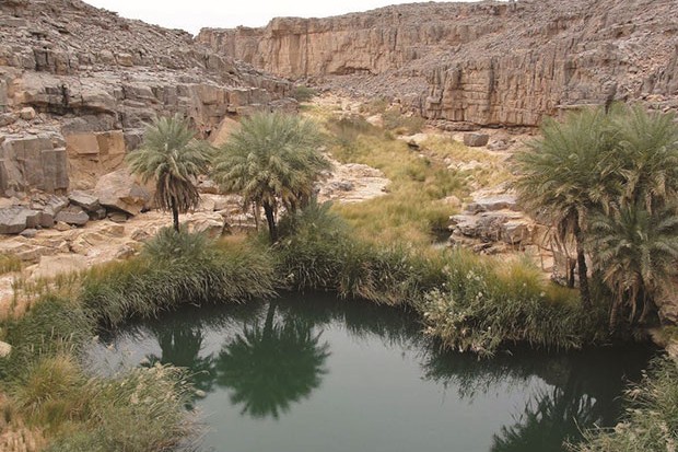 In Salah (Tamanrasset) - LE DOSSIER AURAIT ÉTÉ DÉPOSÉ AUPRÈS DE LA DIRECTION DES FORÊTS DE TAMANRASSET: Le lac de Tiguelguemine en quête de classification