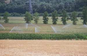 Algérie -Médéa: Un million de m3 pour irriguer le périmètre agricole de la pomme de terre