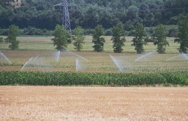 Algérie -Médéa: Un million de m3 pour irriguer le périmètre agricole de la pomme de terre