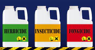 Algérie (Bouira) - L'utilisation excessive des pesticides mise à l'index